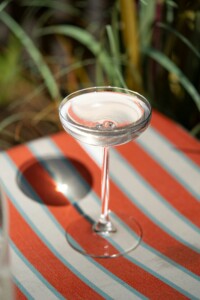 An elegant cocktail glass with a clear drink stands on a red, white, and blue striped table in the sunlight.